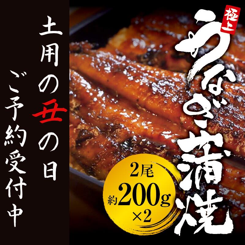 【土用の丑の日】予約受付中！極上 国産うなぎ蒲焼 2尾（約200g×2） 創業100年以上続く老舗 紀州備長炭でじっくり焼き上げた専門店の味 （タレ・山椒付き）【skr002A-dy】