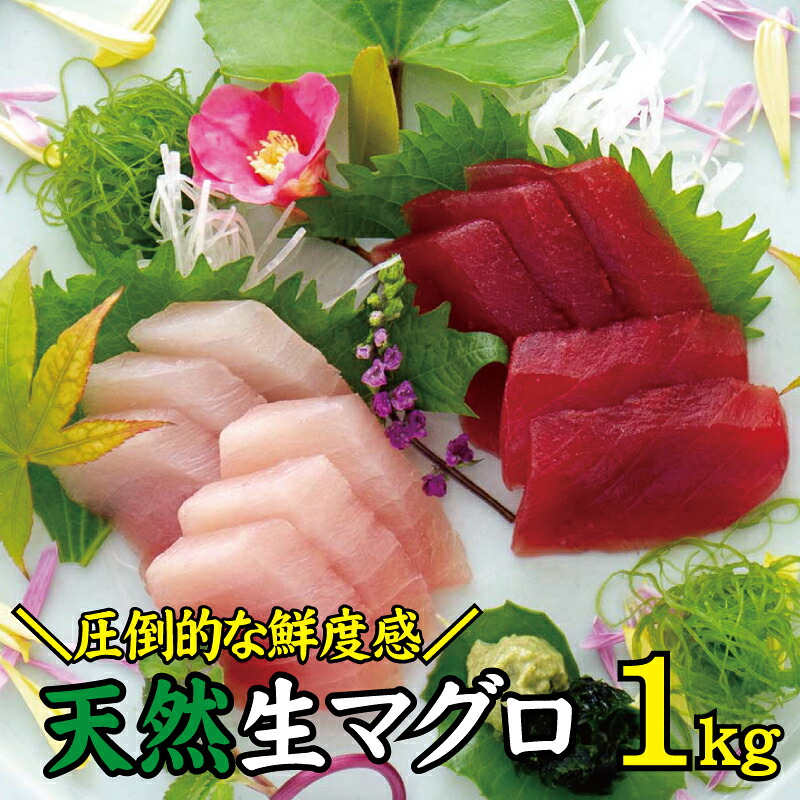 天然 キハダ もしくはメバチ 生まぐろ 1kg