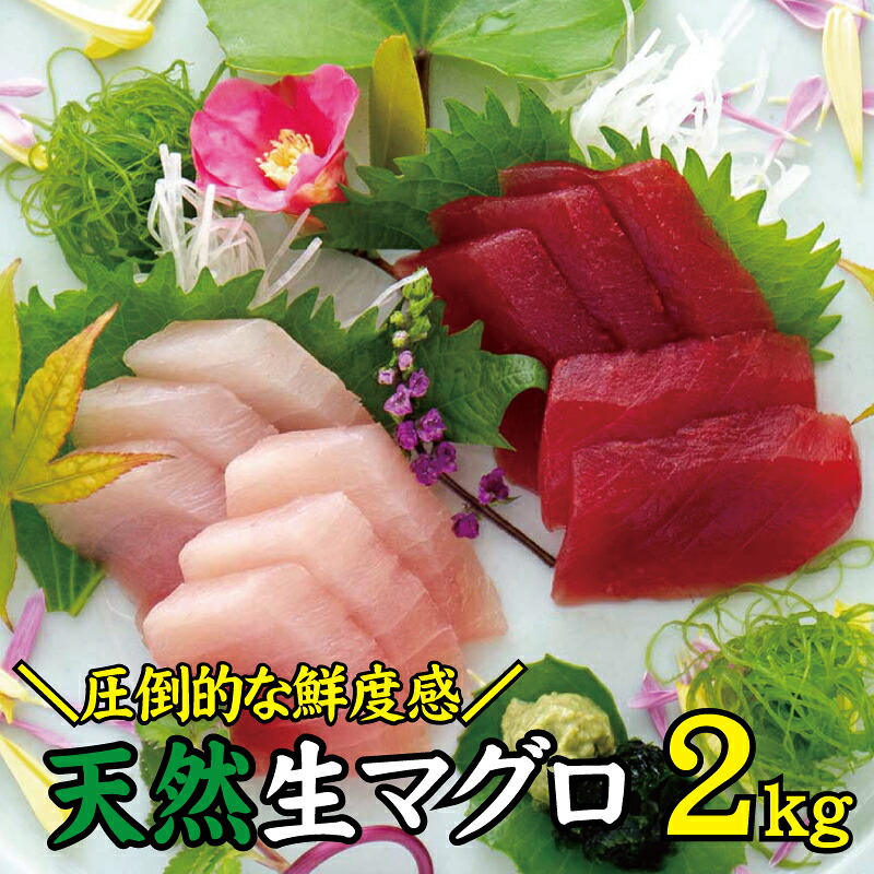 天然 キハダ もしくはメバチ 生まぐろ 2kg