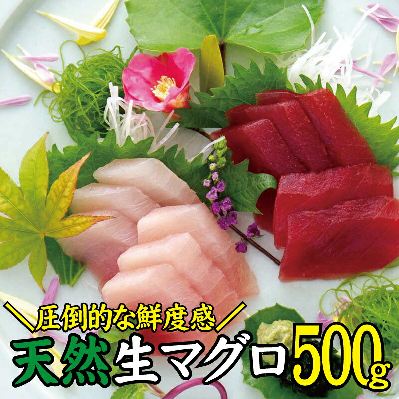 天然 キハダ(もしくはメバチ)500g 生まぐろ 鮮度抜群の生まぐろをお届けします / 生鮪 鮪 マグロ 生まぐろ キハダマグロ 刺身【tka018A】