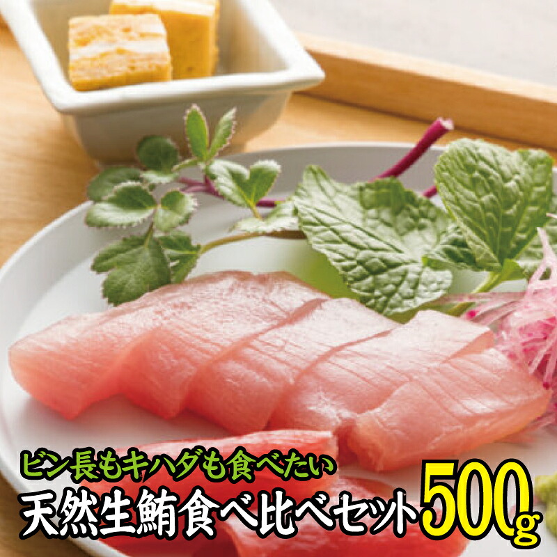 天然生まぐろ食べ比べセット 500g　キハダ（もしくはメバチ）＋びん長まぐろのセット / 生鮪 鮪 マグロ 生まぐろ キハダマグロ ビンチョウマグロ 刺身【tka019A】