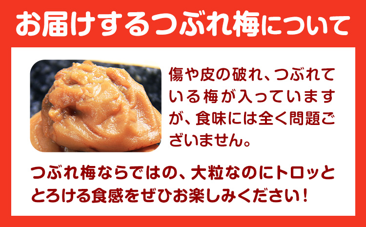 梅干し ひと粒にぎゅっと旨み凝縮 梅干し はちみつ梅 紀州南高梅 つぶれ 梅干し大容量 選べる 450g 900g 1.2kg 2kg 有限会社プラム《30日以内に出荷予定(土日祝除く)》