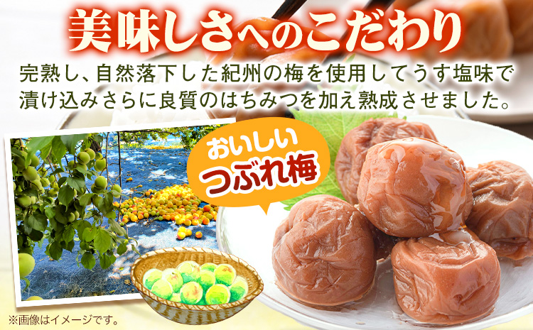梅干し ひと粒にぎゅっと旨み凝縮 梅干し はちみつ梅 紀州南高梅 つぶれ 梅干し大容量 選べる 450g 900g 1.2kg 2kg 有限会社プラム《30日以内に出荷予定(土日祝除く)》