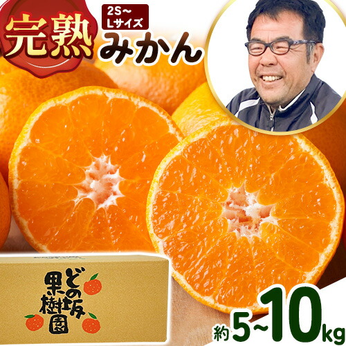 訳あり みかん 選べる 5kg 10kg (サイズおまかせ) どの坂果樹園《12月上旬-2027年2月上旬頃出荷予定》 和歌山県 日高町 産地直送 家庭用 規格外 不揃い 果物 柑橘 サイズ 不選別 訳ありみかん