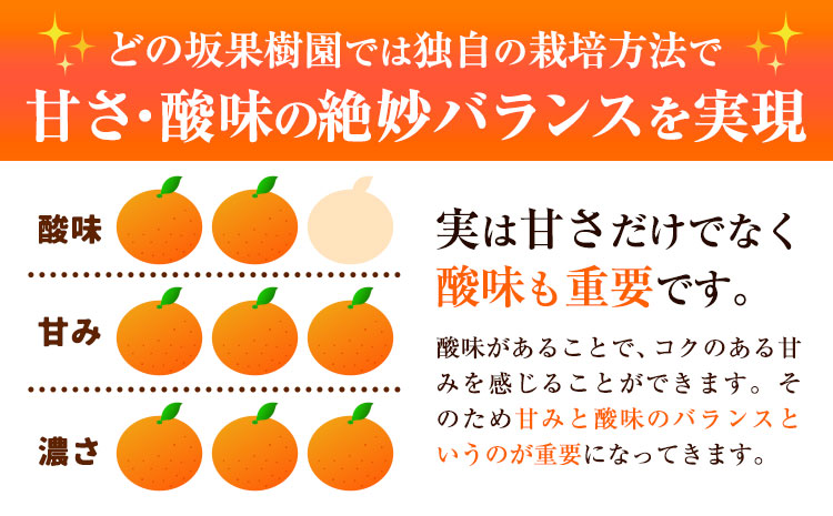 完熟みかん 選べる内容量 5kg 10kg サイズおまかせ どの坂果樹園《12月上旬-2027年2月上旬頃出荷予定》和歌山県 日高町 みかん 早生 旬 柑橘 フルーツ 果物 蜜柑 ミカン