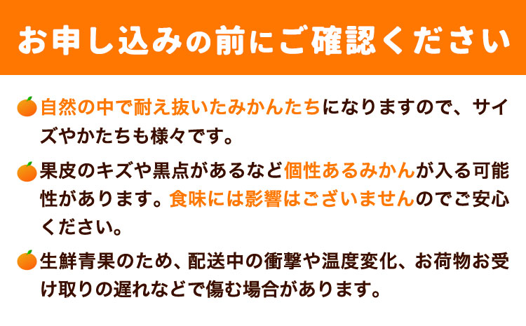 完熟みかん 選べる内容量 5kg 10kg サイズおまかせ どの坂果樹園《12月上旬-2027年2月上旬頃出荷予定》和歌山県 日高町 みかん 早生 旬 柑橘 フルーツ 果物 蜜柑 ミカン