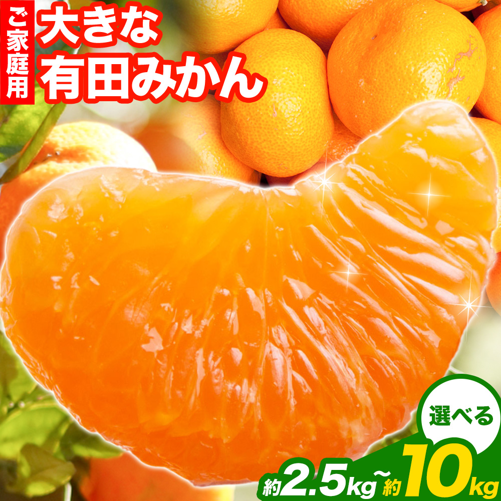 ＜先行予約＞家庭用 大きな有田みかん 約2.5kg 約5kg 約10kg ＋250g （ 傷み補償分 ）選べる【わけあり・訳あり】【光センサー選果】 池田鹿蔵農園@日高町《11月中旬-1月下旬頃出荷》日高町【配送不可地域あり】