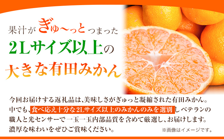 ＜先行予約＞家庭用 大きな有田みかん 約2.5kg 約5kg 約10kg ＋250g （ 傷み補償分 ）選べる【わけあり・訳あり】【光センサー選果】 池田鹿蔵農園@日高町《11月中旬-1月下旬頃出荷》日高町【配送不可地域あり】