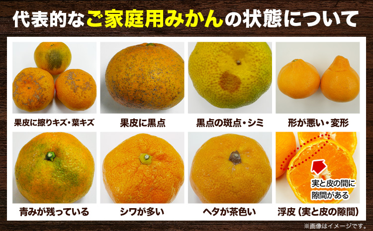 ＜先行予約＞家庭用 大きな有田みかん 約2.5kg 約5kg 約10kg ＋250g （ 傷み補償分 ）選べる【わけあり・訳あり】【光センサー選果】 池田鹿蔵農園@日高町《11月中旬-1月下旬頃出荷》日高町【配送不可地域あり】
