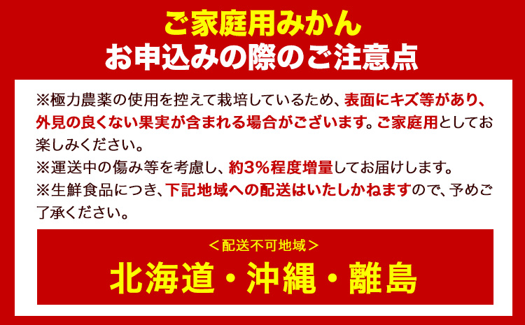 ＜先行予約＞家庭用 大きな有田みかん 約2.5kg 約5kg 約10kg ＋250g （ 傷み補償分 ）選べる【わけあり・訳あり】【光センサー選果】 池田鹿蔵農園@日高町《11月中旬-1月下旬頃出荷》日高町【配送不可地域あり】