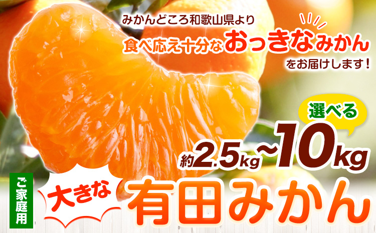 ＜先行予約＞家庭用 大きな有田みかん 約2.5kg 約5kg 約10kg ＋250g （ 傷み補償分 ）選べる【わけあり・訳あり】【光センサー選果】 池田鹿蔵農園@日高町《11月中旬-1月下旬頃出荷》日高町【配送不可地域あり】