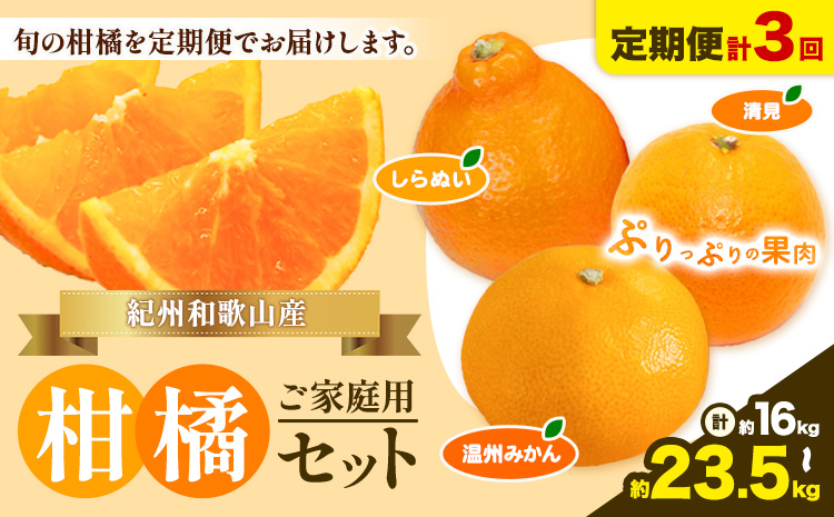 【発送月固定定期便】紀州 和歌山産 旬の ご家庭用 柑橘 セット (みかん 不知火 清見)【全３回】選べる 計16kg 計23.5kg 株式会社魚鶴《1月上旬-4月上旬頃出荷》