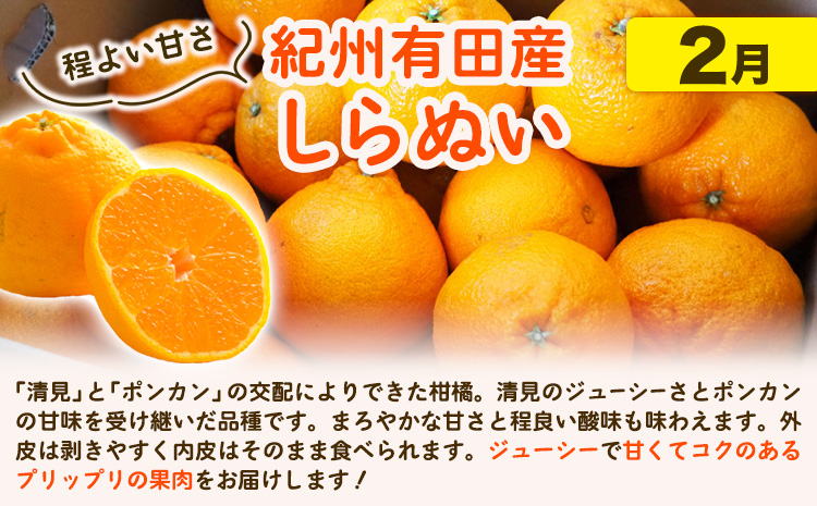 【発送月固定定期便】紀州 和歌山産 旬の ご家庭用 柑橘 セット (みかん 不知火 清見)【全３回】選べる 計16kg 計23.5kg 株式会社魚鶴《1月上旬-4月上旬頃出荷》