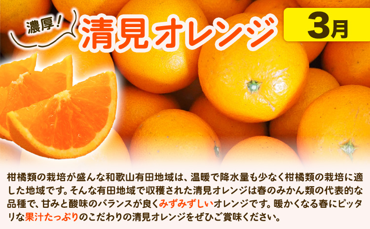 【発送月固定定期便】紀州 和歌山産 旬の ご家庭用 柑橘 セット (みかん 不知火 清見)【全３回】選べる 計16kg 計23.5kg 株式会社魚鶴《1月上旬-4月上旬頃出荷》