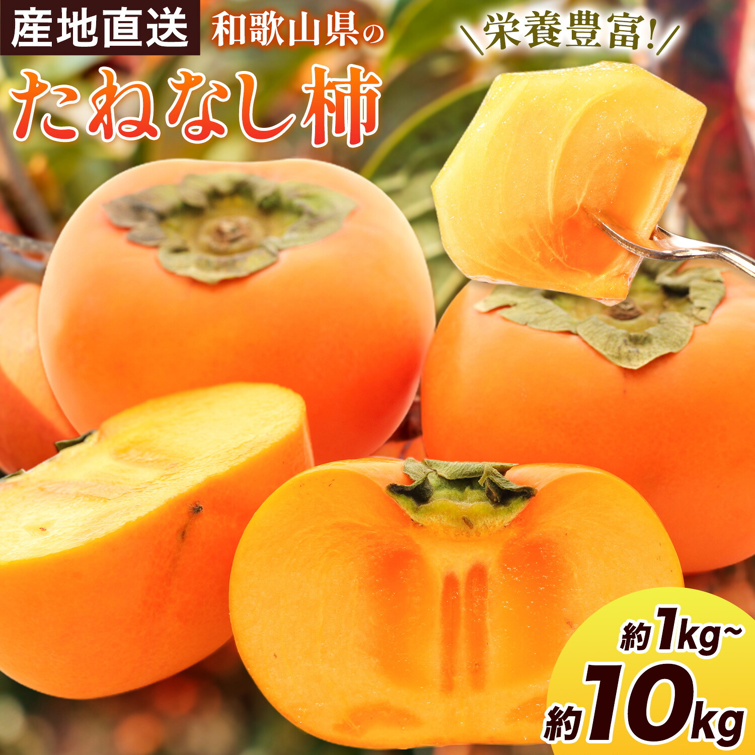 訳あり みかん 選べる 5kg 10kg (サイズおまかせ) どの坂果樹園《12月上旬-2027年2月上旬頃出荷予定》 和歌山県 日高町 産地直送 家庭用 規格外 不揃い 果物 柑橘 サイズ 不選別 訳ありみかん