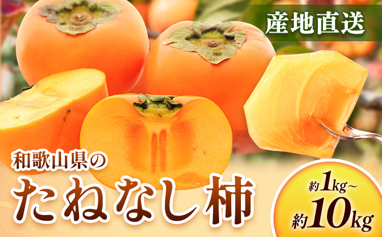 <10月より発送>たねなし柿 選べる 1kg 2.5kg 5kg 7.5kg 10kg 刀根早生 平核無柿 ひらたねなしかき 池田鹿蔵農園《10月上旬-12月上旬頃出荷》