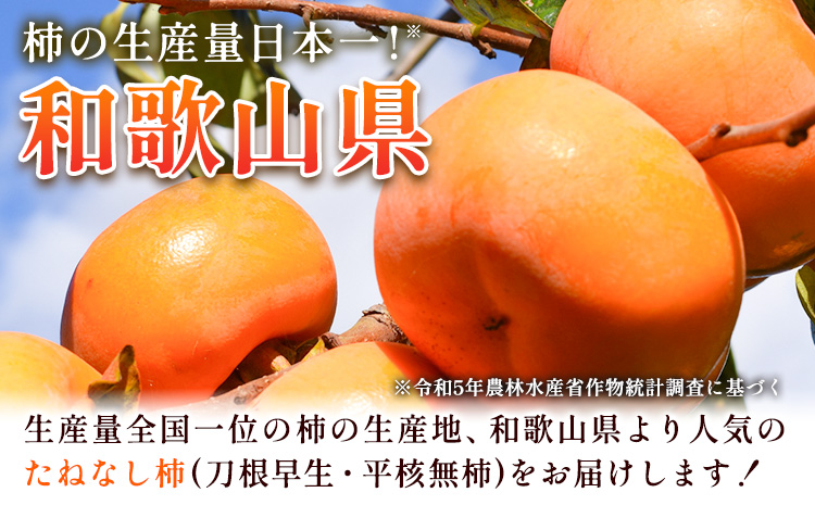 <10月より発送>たねなし柿 選べる 1kg 2.5kg 5kg 7.5kg 10kg 刀根早生 平核無柿 ひらたねなしかき 池田鹿蔵農園《10月上旬-12月上旬頃出荷》