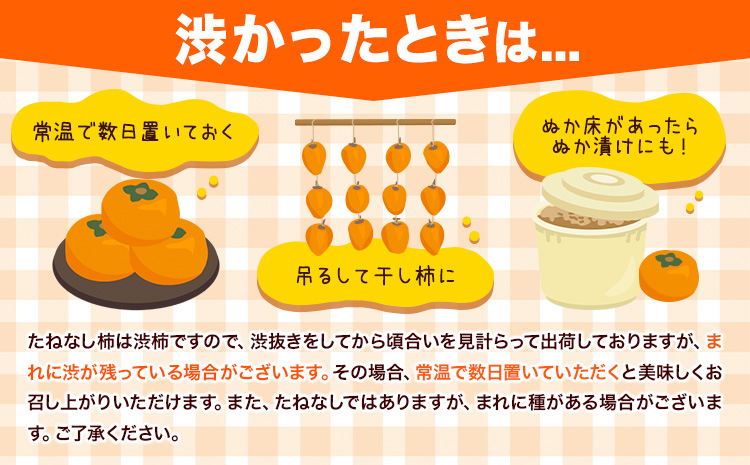 <10月より発送>たねなし柿 選べる 1kg 2.5kg 5kg 7.5kg 10kg 刀根早生 平核無柿 ひらたねなしかき 池田鹿蔵農園《10月上旬-12月上旬頃出荷》