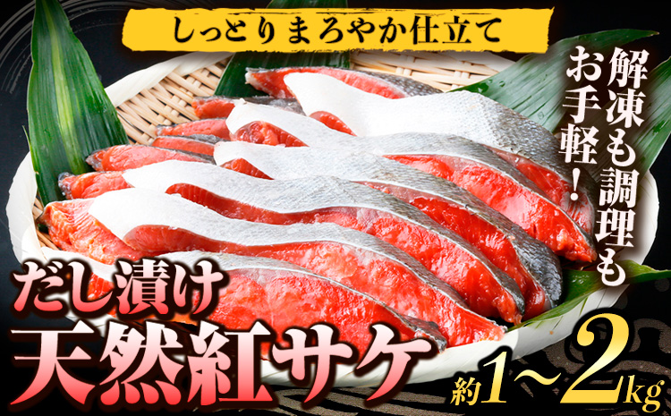 和歌山魚鶴仕込の天然 紅サケ 切身 選べる 約 1kg 約 2kg 株式会社魚鶴商店《30日以内に出荷予定(土日祝除く)》