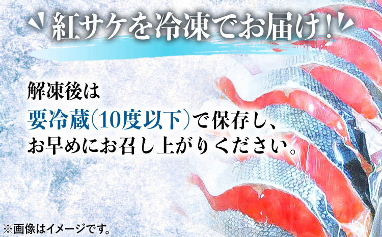 和歌山魚鶴仕込の天然 紅サケ 切身 選べる 約 1kg 約 2kg 株式会社魚鶴商店《30日以内に出荷予定(土日祝除く)》