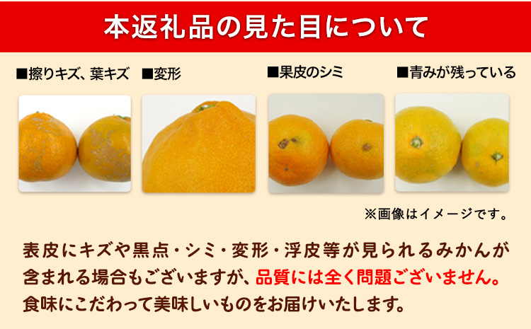 訳あり みかん 選べる 5kg 10kg (サイズおまかせ) どの坂果樹園《12月上旬-2027年2月上旬頃出荷予定》 和歌山県 日高町 産地直送 家庭用 規格外 不揃い 果物 柑橘 サイズ 不選別 訳ありみかん