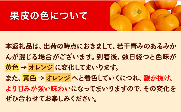 訳あり みかん 選べる 5kg 10kg (サイズおまかせ) どの坂果樹園《12月上旬-2027年2月上旬頃出荷予定》 和歌山県 日高町 産地直送 家庭用 規格外 不揃い 果物 柑橘 サイズ 不選別 訳ありみかん