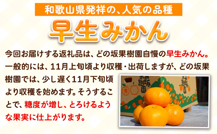訳あり みかん 選べる 5kg 10kg (サイズおまかせ) どの坂果樹園《12月上旬-2027年2月上旬頃出荷予定》 和歌山県 日高町 産地直送 家庭用 規格外 不揃い 果物 柑橘 サイズ 不選別 訳ありみかん