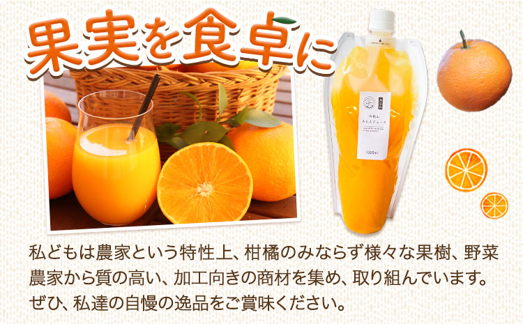 みかんジュース 1L 3個 Farm＆lab 《30日以内に出荷予定(土日祝除く)》和歌山県 日高町 みかん 柑橘 果物 ジュース オレンジジュース 無添加 国産 100% 飲料 夏ギフト