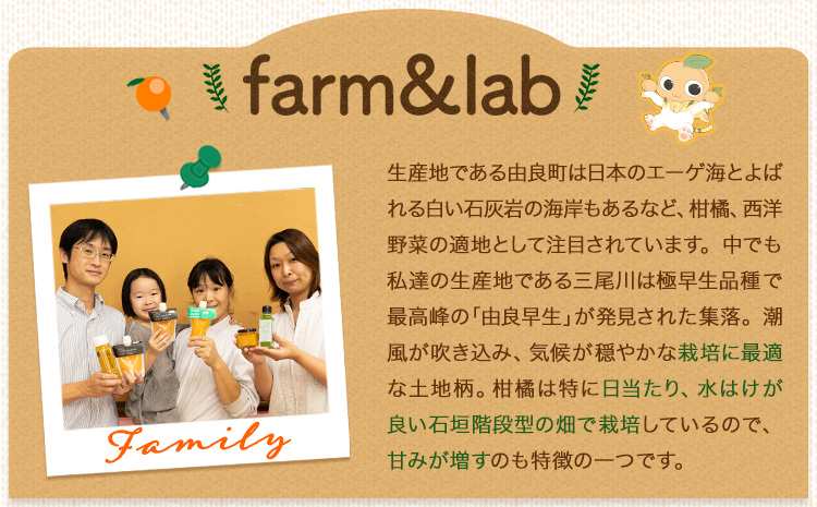 みかんジュース 1L 3個 Farm＆lab 《30日以内に出荷予定(土日祝除く)》和歌山県 日高町 みかん 柑橘 果物 ジュース オレンジジュース 無添加 国産 100% 飲料 夏ギフト