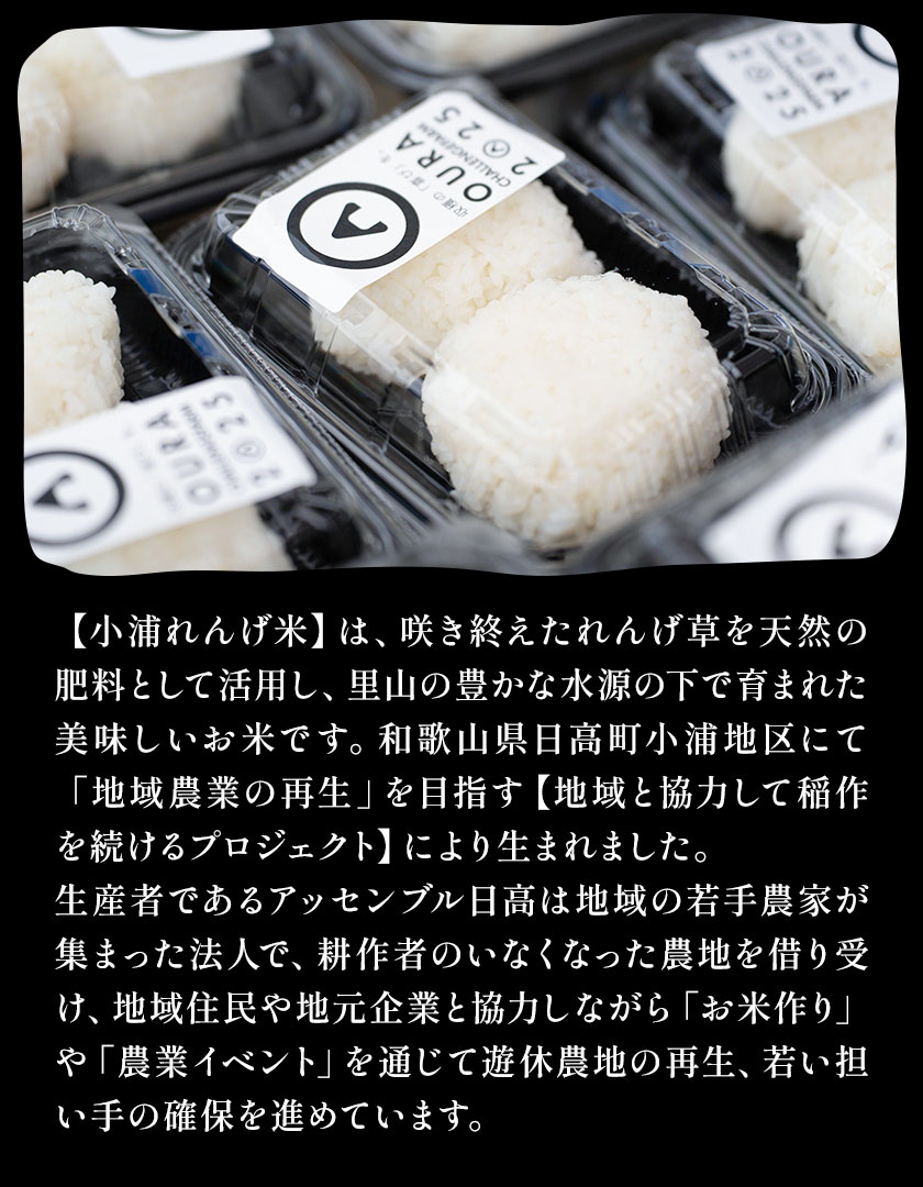 令和8年産 約5kg 白米 小浦れんげ米 にじのきらめき お米 一般社団法人アッセンブル日高《30日以内に出荷予定(土日祝除く)》和歌山県 日高町 お米 ご飯 お取り寄せ 送料無料