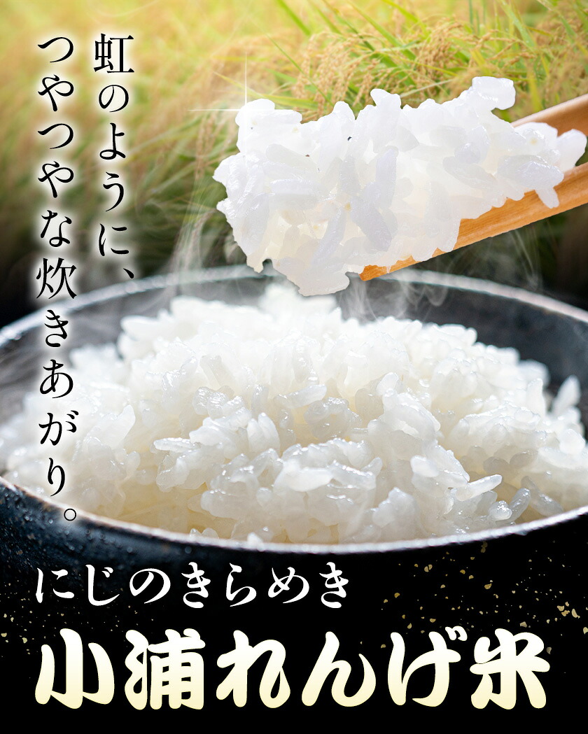 令和8年産 約5kg 白米 小浦れんげ米 にじのきらめき お米 一般社団法人アッセンブル日高《30日以内に出荷予定(土日祝除く)》和歌山県 日高町 お米 ご飯 お取り寄せ 送料無料