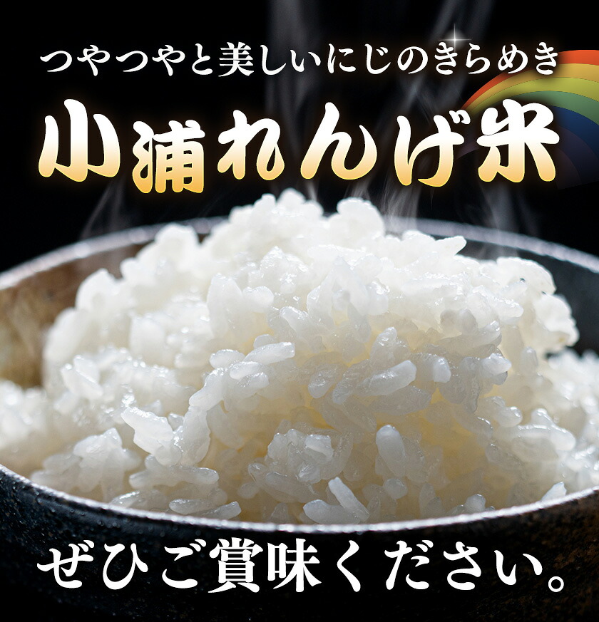 令和8年産 約5kg 白米 小浦れんげ米 にじのきらめき お米 一般社団法人アッセンブル日高《30日以内に出荷予定(土日祝除く)》和歌山県 日高町 お米 ご飯 お取り寄せ 送料無料