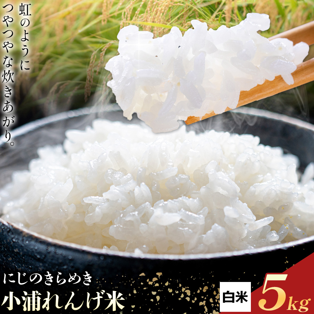 令和8年産 約5kg 白米 小浦れんげ米 にじのきらめき お米 一般社団法人アッセンブル日高《30日以内に出荷予定(土日祝除く)》和歌山県 日高町 お米 ご飯 お取り寄せ 送料無料