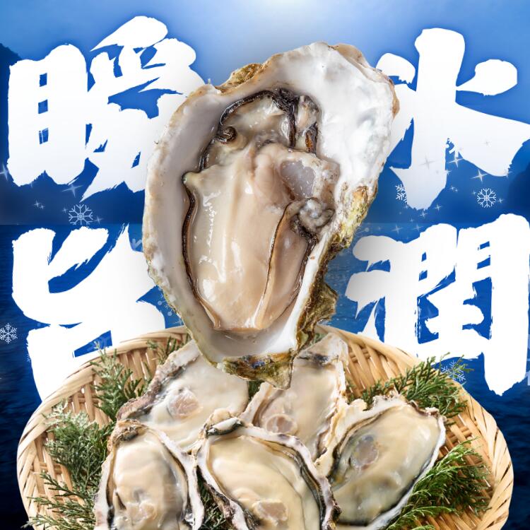 新登場!【特別な急速冷凍で美味しさそのまま】国産冷凍牡蠣 加熱用 殻付き 【選べるサイズ・個数】 牡蠣 カキ 海鮮 和歌山 すさみ町