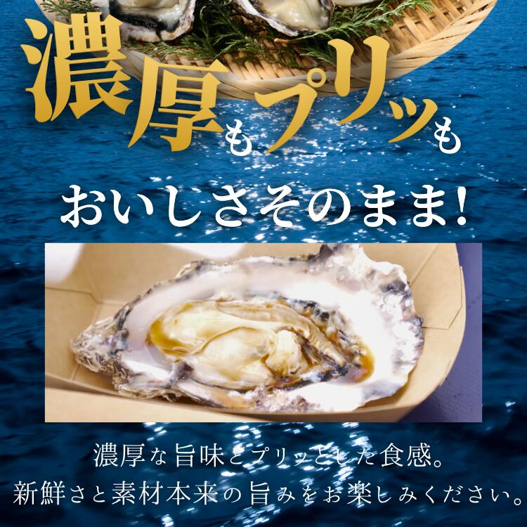 新登場!【特別な急速冷凍で美味しさそのまま】国産冷凍牡蠣 加熱用 殻付き 【選べるサイズ・個数】 牡蠣 カキ 海鮮 和歌山 すさみ町