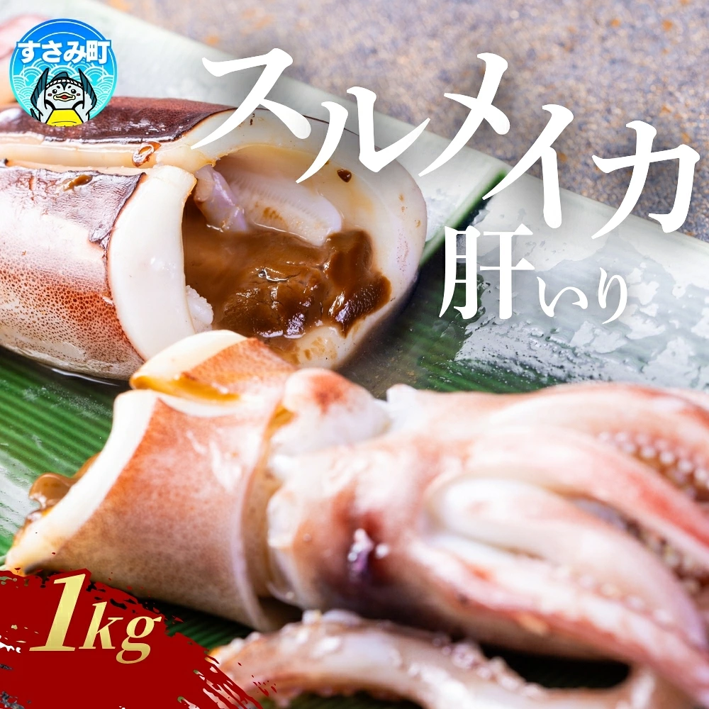 イカ すさみ町産 スルメイカ 肝いり 1kg【mix021】