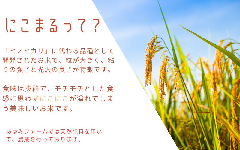 【容量が選べる】秘境の地からお届けする あゆみファームのお米 にこまる 5kg～10kg【2025年10月下旬頃から順次発送】/ 米 お米 にこまる 5kg～10kg 精米 和歌山【aym013-aym014】