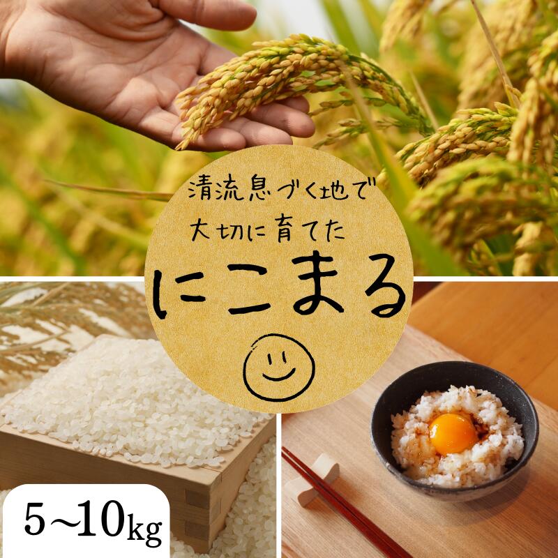 【容量が選べる】秘境の地からお届けする あゆみファームのお米 にこまる 5kg～10kg【2025年10月下旬頃から順次発送】/ 米 お米 にこまる 5kg～10kg 精米 和歌山【aym013-aym014】