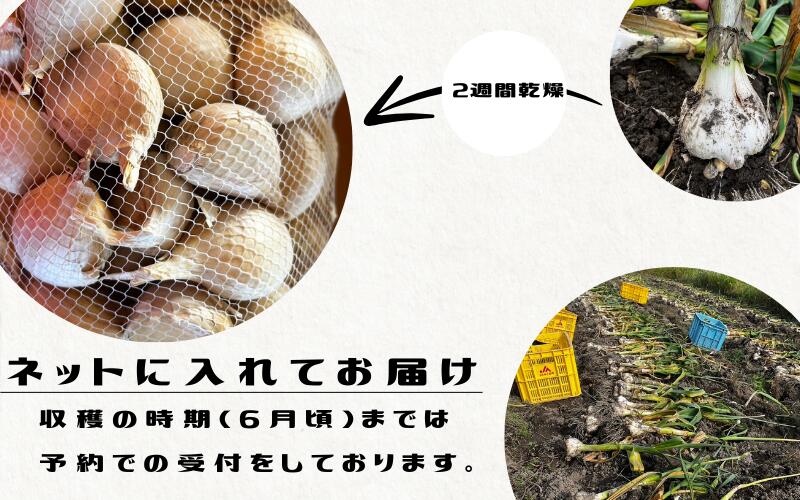 令和８年度産 秘境の地からお届けする あゆみファームのご家庭用ジャンボにんにく 1～5kg【2026年7月下旬から順次発送】【aym009-aym010-aym015A-aym016A-aym017】