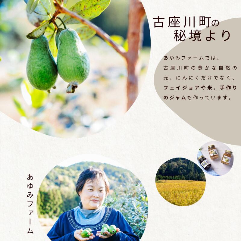 令和８年度産 秘境の地からお届けする あゆみファームのご家庭用ジャンボにんにく 1～5kg【2026年7月下旬から順次発送】【aym009-aym010-aym015A-aym016A-aym017】