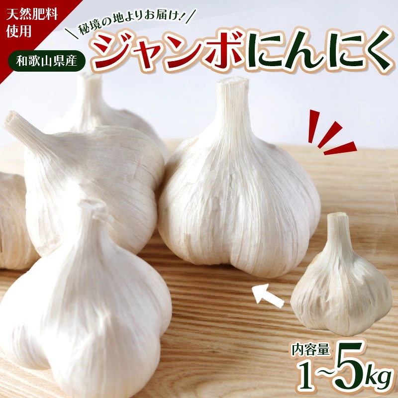 令和８年度産 秘境の地からお届けする あゆみファームのご家庭用ジャンボにんにく 1～5kg【2026年7月下旬から順次発送】【aym009-aym010-aym015A-aym016A-aym017】