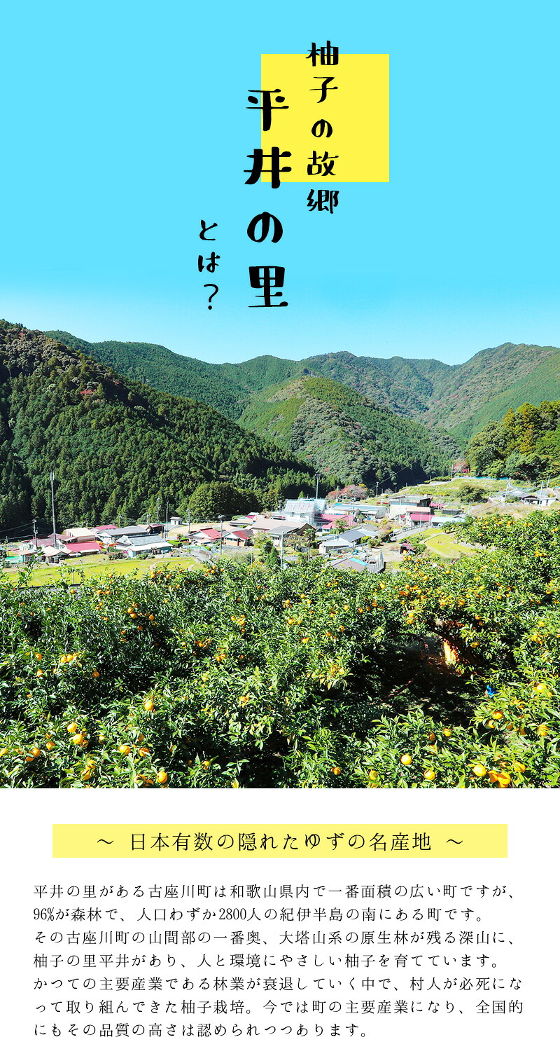 古座川町の ゆずエッセンシャルオイル 3個セット ゆず 柚子 柚 ユズ アロマ アロマオイル【yuz139A】