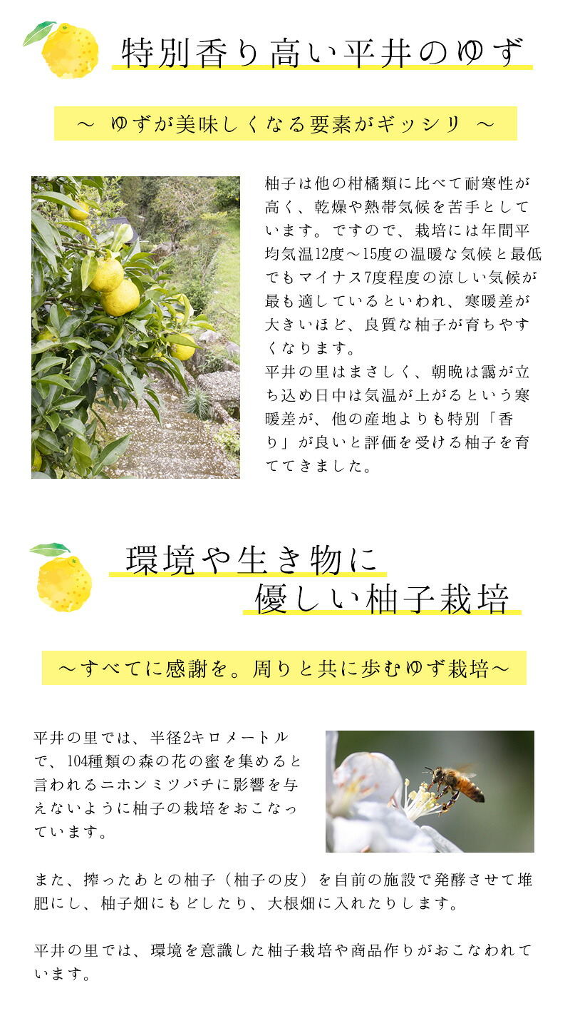 古座川町の ゆずエッセンシャルオイル 3個セット ゆず 柚子 柚 ユズ アロマ アロマオイル【yuz139A】