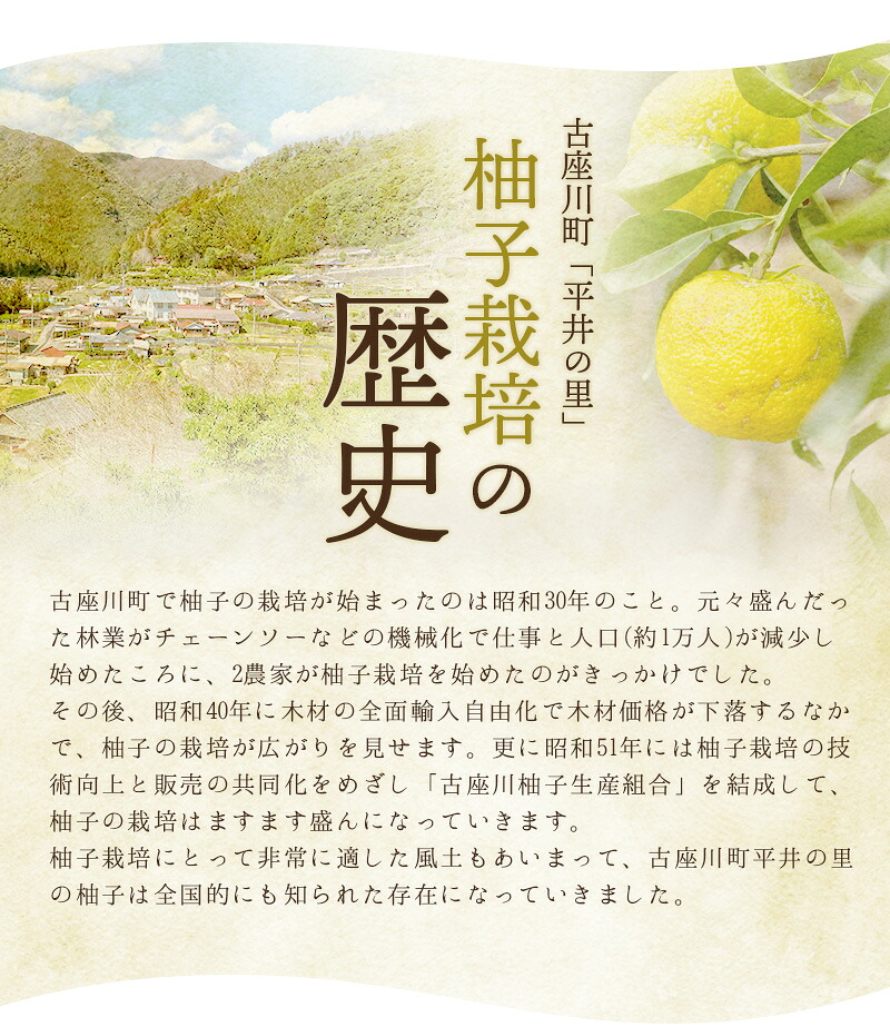 古座川町の ゆずエッセンシャルオイル 3個セット ゆず 柚子 柚 ユズ アロマ アロマオイル【yuz139A】