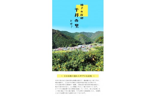 古座川町のゆず果汁 丸ごとぎゅーっと！しぼりゆず（150ml×4本） ゆず 柚子 柚 ユズ ゆず果汁100%【yuz122】