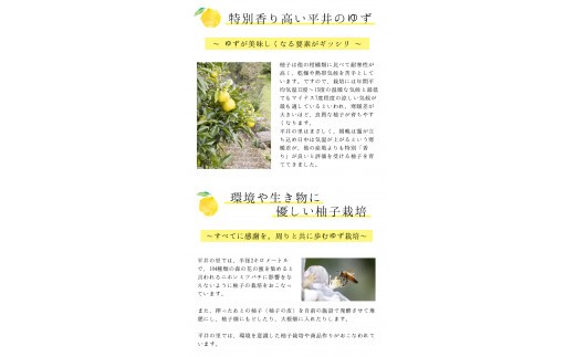 古座川町のゆず果汁 丸ごとぎゅーっと！しぼりゆず（150ml×4本） ゆず 柚子 柚 ユズ ゆず果汁100%【yuz122】
