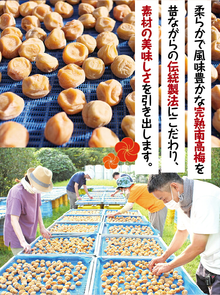 梅干し 無添加 完熟南高梅 2.5kg (1.25kg×2パック)  塩分約20％ 数量限定 サイズ混合 高評価 ご家庭用 梅干し 梅干 梅 うめ ウメ 梅干 白干 白干し 白梅 【njb647A】