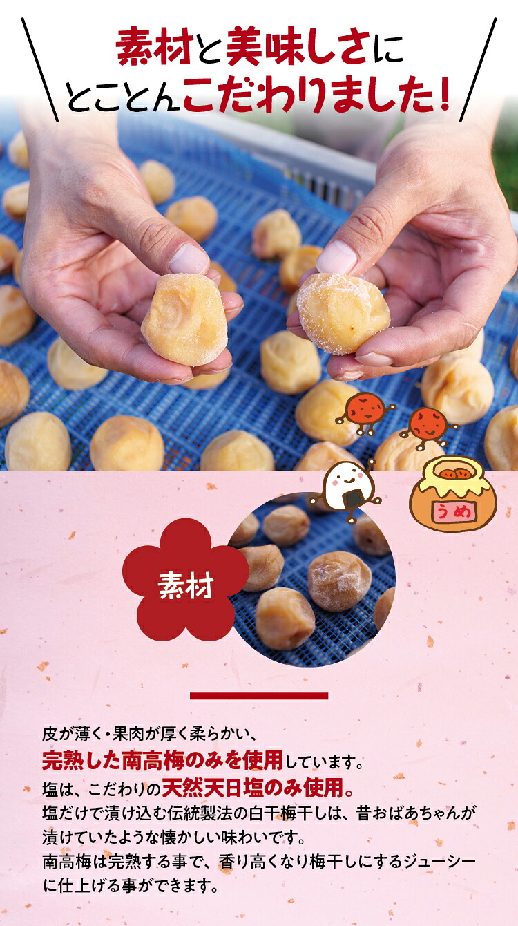 梅干し 無添加 完熟南高梅 2.5kg (1.25kg×2パック)  塩分約20％ 数量限定 サイズ混合 高評価 ご家庭用 梅干し 梅干 梅 うめ ウメ 梅干 白干 白干し 白梅 【njb647A】