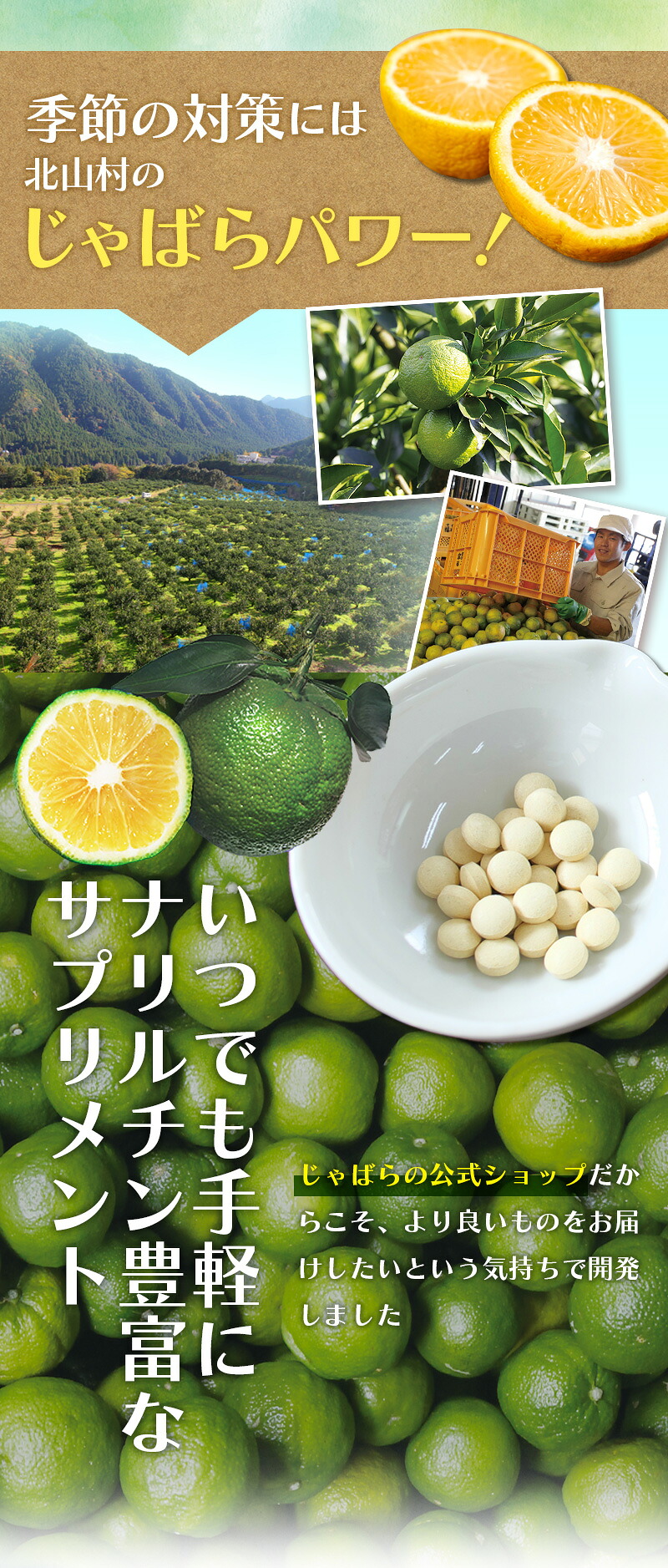 北山村公式じゃばらサプリ 93粒×2袋セット / サプリメント じゃばら ジャバラ 邪払 ナリルチン 無添加 果皮 果皮粉末 果皮入り【njb646】