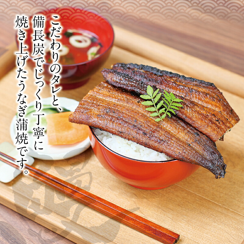国産うなぎ 紀州備長炭で焼き上げた うなぎ約200g×2尾セット うなぎ ウナギ 鰻 蒲焼き 国産 養殖【fki301A】